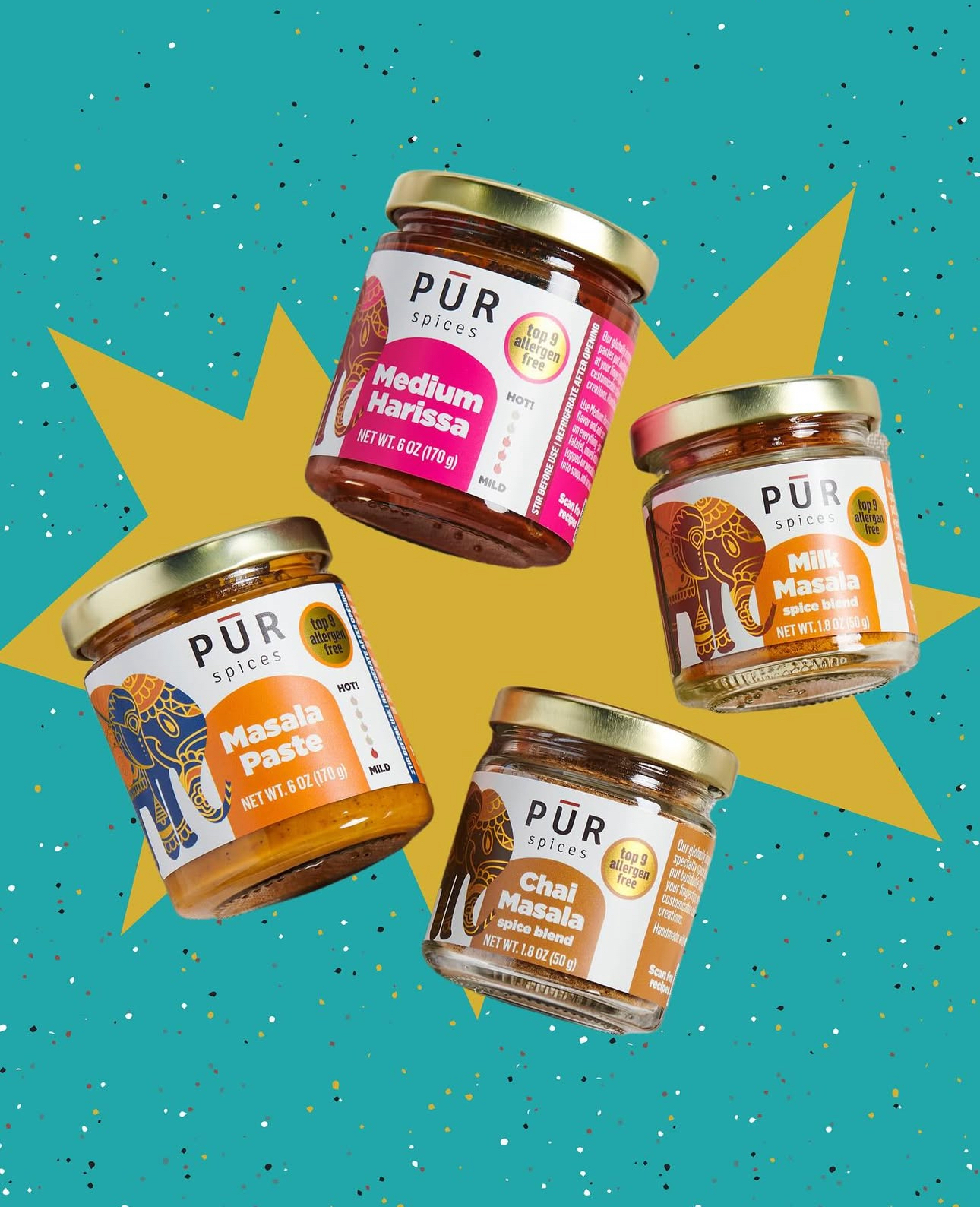 Pur Spices Case Study